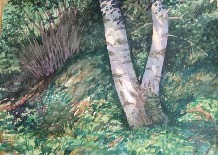 Aquarel·la sobre paper (51x36).